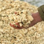 Woody Biomass Fuels